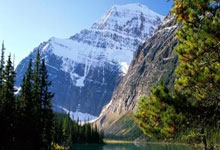 AC米兰足球俱乐部官网能为球迷提供哪些独特体验？